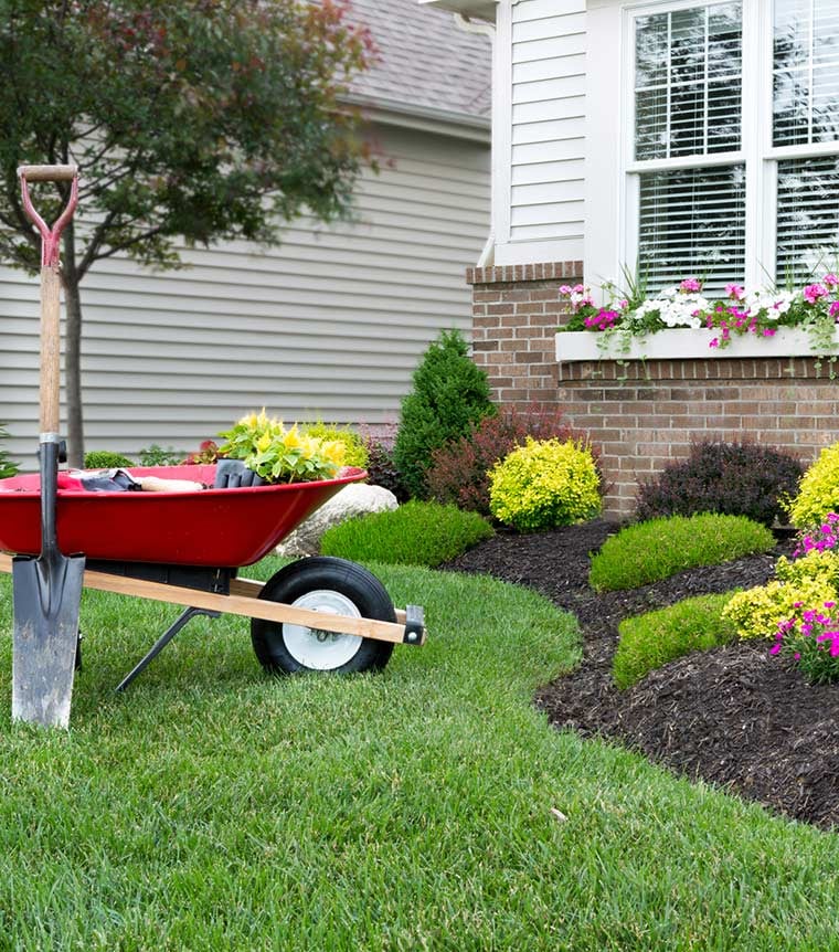 landscaping