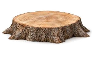Stump Grinding